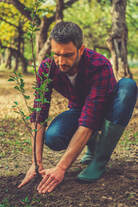 Fremont tree planting service and tree care 